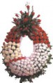 Corona 5